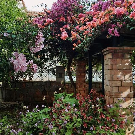 Apartament Veneto'S Garden Kardamyli Zewnętrze zdjęcie