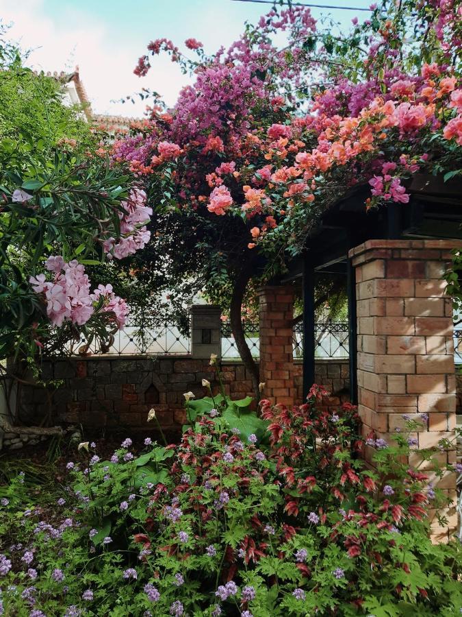 Apartament Veneto'S Garden Kardamyli Zewnętrze zdjęcie
